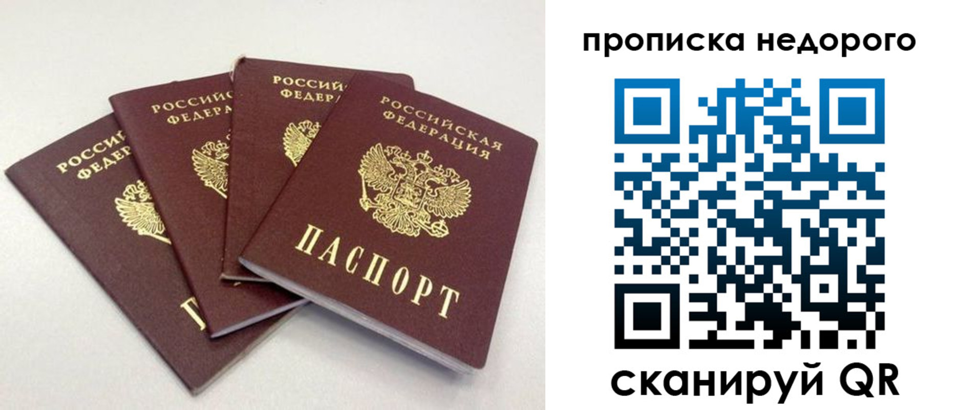 прописка законно в Ясном